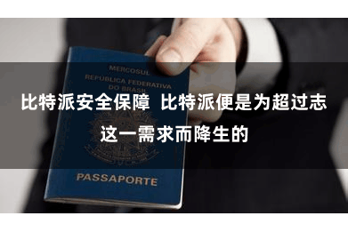 比特派安全保障  比特派便是为超过志这一需求而降生的